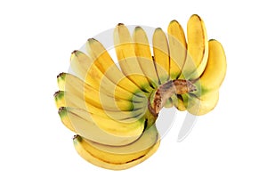 BANANA