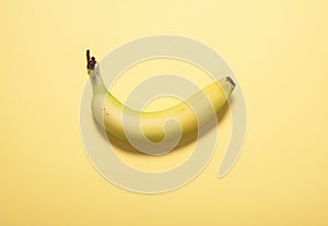 Banana on abstract retro color background