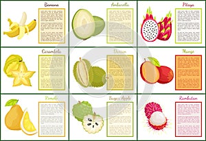 Banana and Ambarella Durian Apple Posters Vector photo