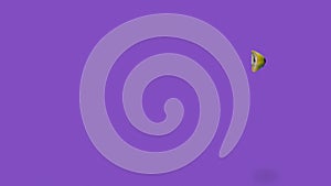 Banana appears and disappears on a purple background