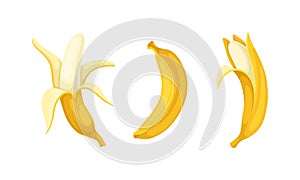 Banana as Elongated, Edible Fruit Covered with Yellow Rind Vector Set