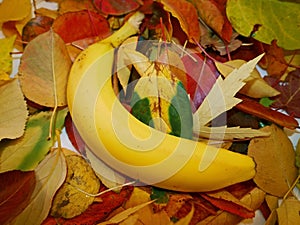 Banana on autumn leaves background.