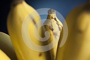 Banana in bunch