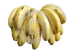 Banana bunch