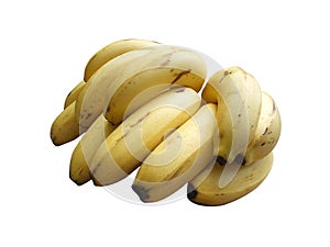 Banana bunch isolated