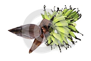 Banana On Bunch Isolated