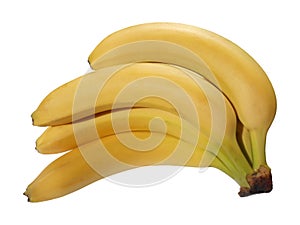 Banana bunch isolated