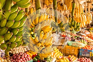 Banana bunch at a local market