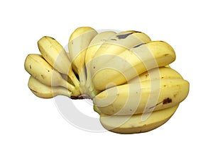 Banana bunch 5