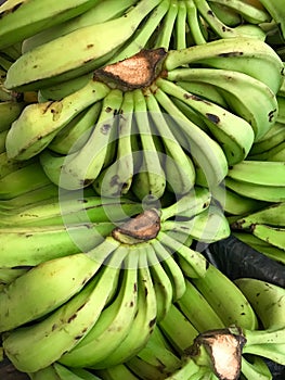 Banana Bunches at a Farmer`s Market in Brazil