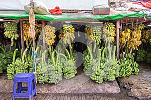 Banana bunches at the fruit market in Yangon, Burma Myanmar