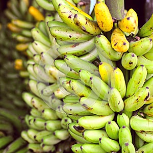 Banana Bunches, Latin America street market