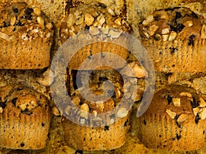 Banana and Chocolate Chip Muffins