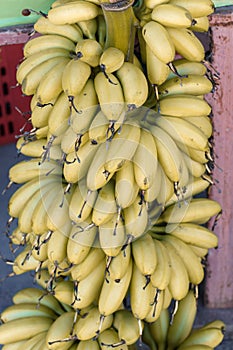 A banana closeup fruit photo