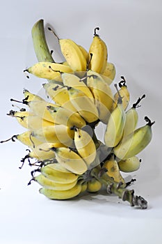 banana, cluster of banana or ripe bananas or bunch of bananas
