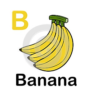 Banana cluster isolated with word spelling