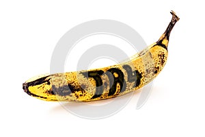 Banana contaminated by Fusarium oxysporum fungus, called tr4, banana extinction risk. english text written TR 4