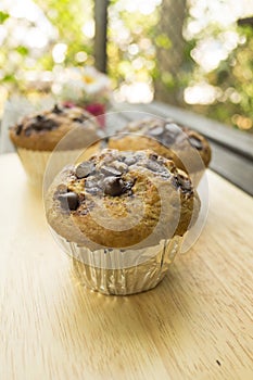 Banana cup cake with chocolate chip topping. Banana cup cake in foil cup