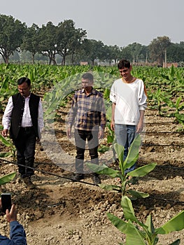 Banana farming by drip errigation in india