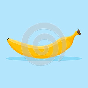 Banana flat style icon. Vector illustration.