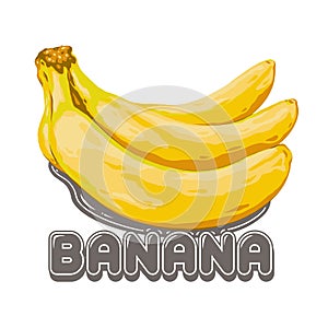 Banana Fruit