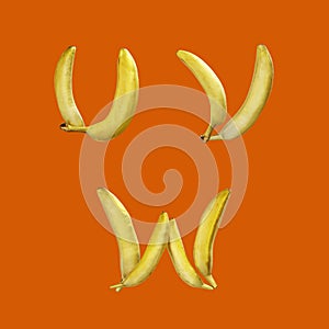 Banana fruit capital letters alphabet - letters U-W