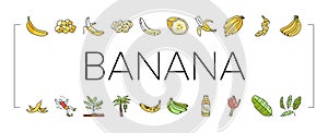 banana fruit food yellow white icons set vector