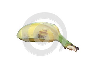 Banana fruit isolated