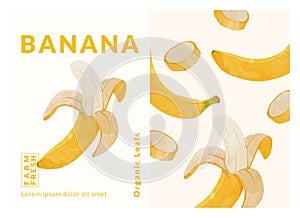 Banana fruit packaging design templates, watercolour style vector illustration.