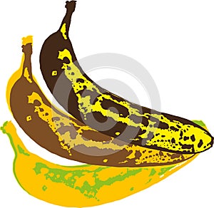 Banana fruit ripeness levels.