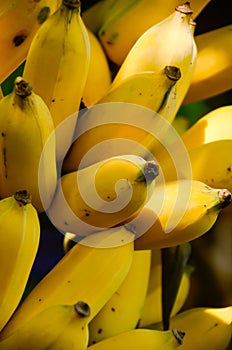 Banana is fruit that is unlikely to get energy a lot, but believe it or not, the banana resources reserves foremost in banana 1