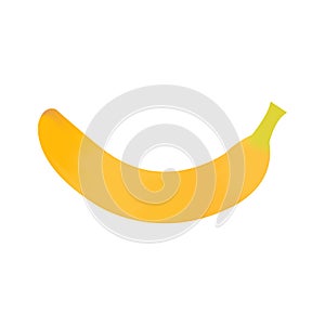 Banana fruit vector illustration with white background