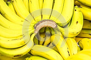 Banana fruits