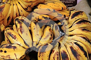 banana fruits from africa