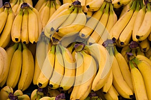 Banana fruits - food background