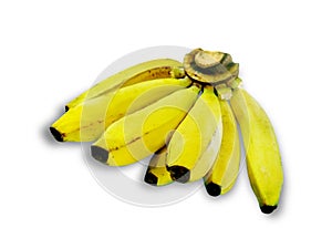 Banana fruits on over white.