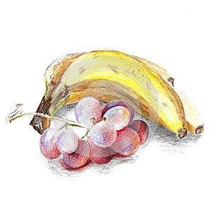 Banana and grape hand drawn colored pencils painting on white background isolated illustration