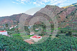 Banana groves at Vallehermoso, La Gomera, Canary Islands, Spain photo