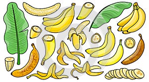 Banana isolated color set icon. Vector illustration tropical fruit on white background.color vector set icon banana