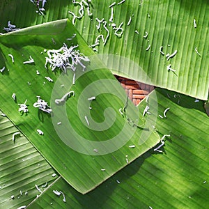 Banana leaf