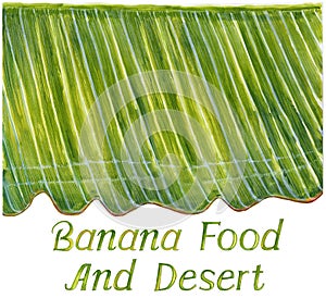 Banana leaf painting for background