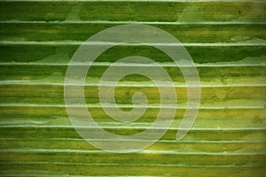 Banana leaf pattern for the background