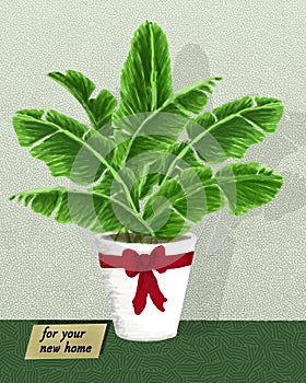 Banana leaves illustrations drawing for your new home decorations