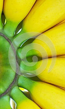 Banana macro