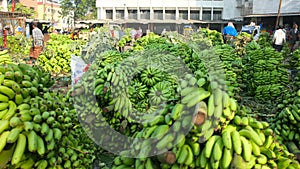 Banana Market in Kochi, India