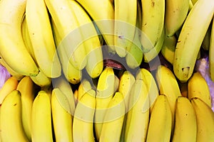 Banana. Fresh yellow bananas. photo