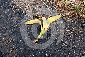Banana peel thrown on the asphalt