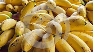 Banana piles for sale