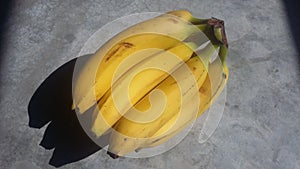 Banana platano big shadow