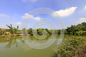 Banana pond in zhaojiabao village, adobe rgb